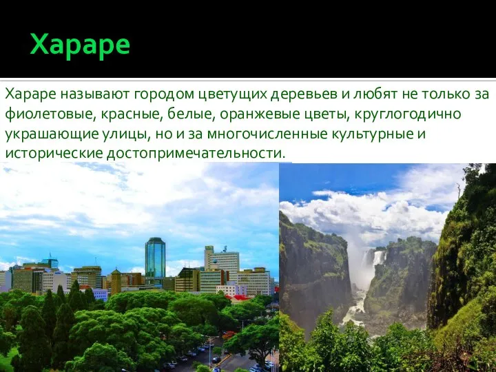 Хараре Хараре называют городом цветущих деревьев и любят не только за фиолетовые,