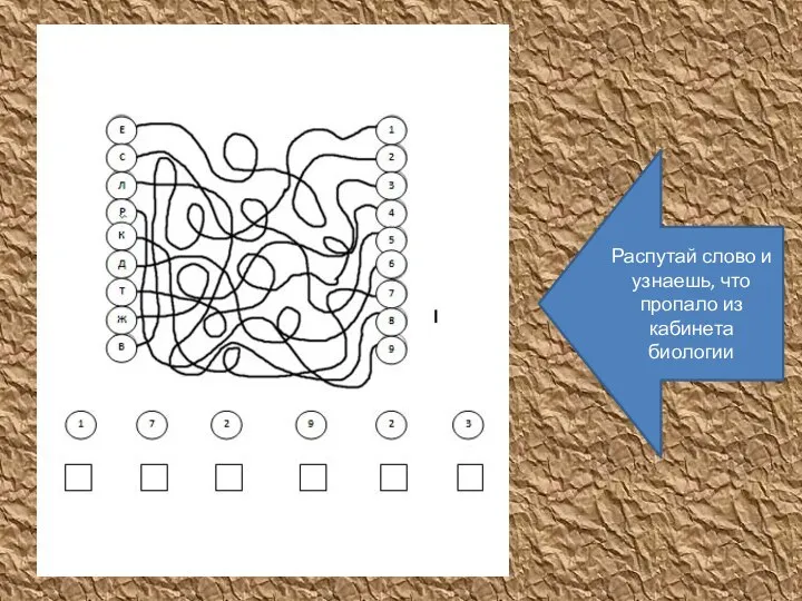 Распутай слово и узнаешь, что пропало из кабинета биологии
