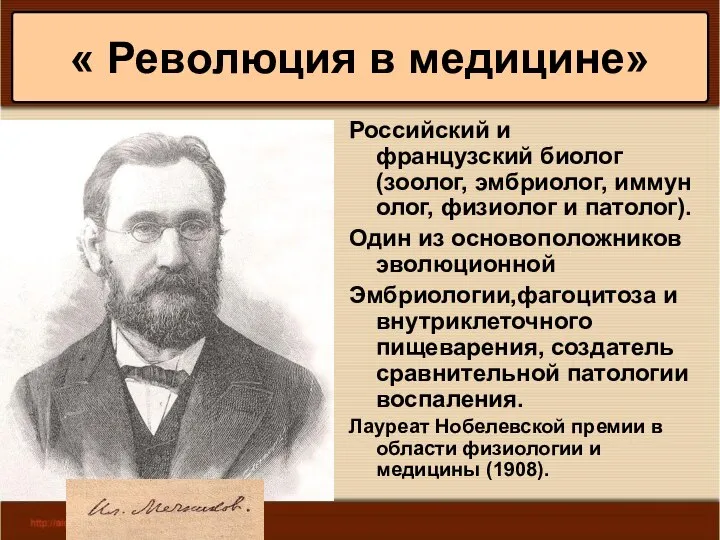 * Антоненкова А.В. МОУ Будинская ООШ Российский и французский биолог (зоолог, эмбриолог,