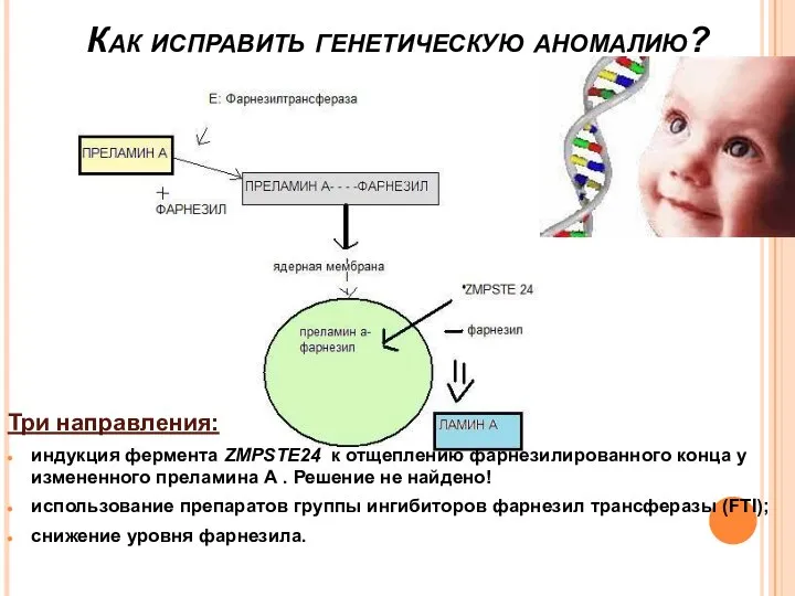 Как исправить генетическую аномалию? Три направления: индукция фермента ZMPSTE24 к отщеплению фарнезилированного