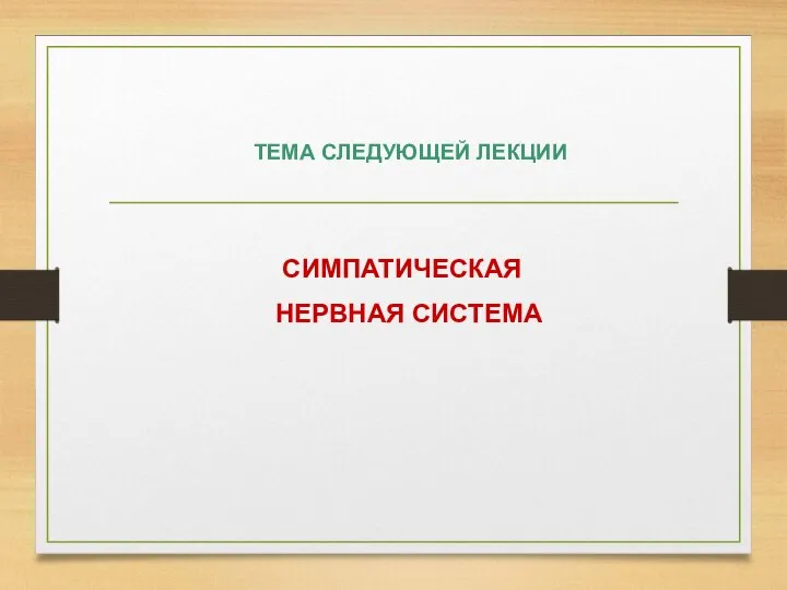 ТЕМА СЛЕДУЮЩЕЙ ЛЕКЦИИ СИМПАТИЧЕСКАЯ НЕРВНАЯ СИСТЕМА