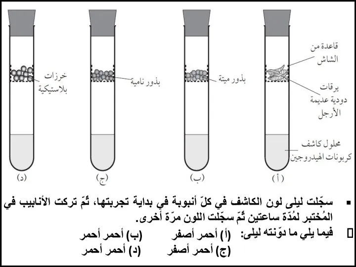 سجّلت ليلى لون الكاشف في كلّ أنبوبة في بداية تجربتها، ثُمّ تركت