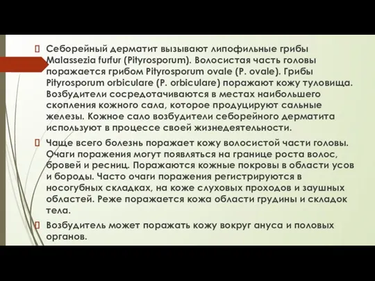 Себорейный дерматит Себорейный дерматит вызывают липофильные грибы Malassezia furfur (Pityrosporum). Волосистая часть