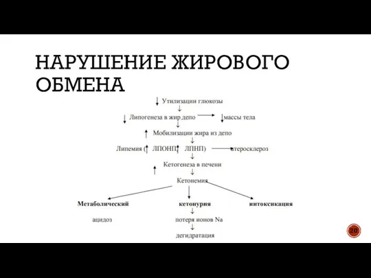 НАРУШЕНИЕ ЖИРОВОГО ОБМЕНА 20