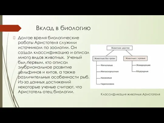 Вклад в биологию Долгое время биологические работы Аристотеля служили источником по зоологии.