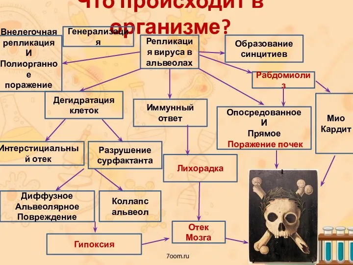 Что происходит в организме? Репликация вируса в альвеолах Дегидратация клеток Интерстициальный отек