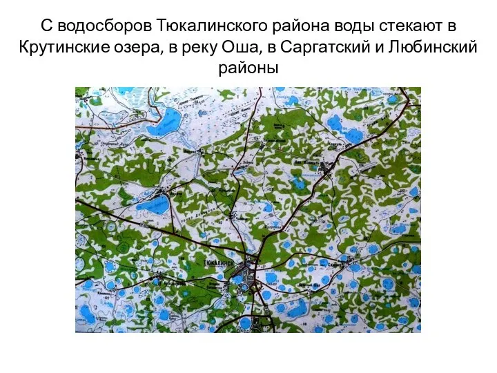 С водосборов Тюкалинского района воды стекают в Крутинские озера, в реку Оша,