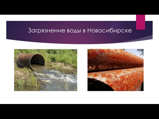 Загрязнение воды в Новосибирске