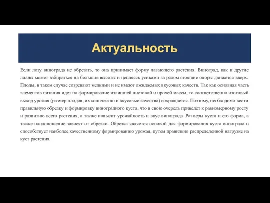 Актуальность Если лозу винограда не обрезать, то она принимает форму лазающего растения.