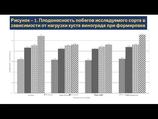 Рисунок – 1. Плодоносность побегов исследуемого сорта в зависимости от нагрузки куста винограда при формировке