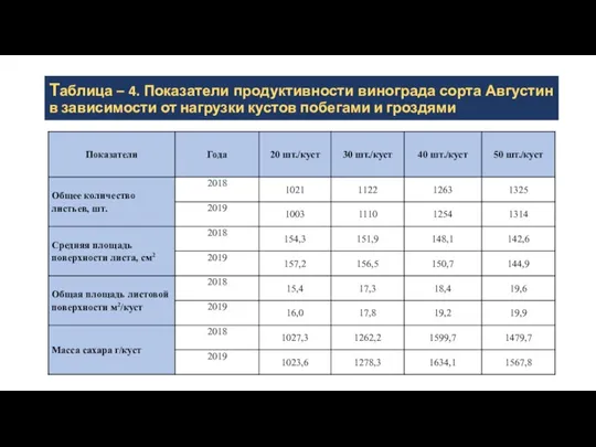 Таблица – 4. Показатели продуктивности винограда сорта Августин в зависимости от нагрузки кустов побегами и гроздями