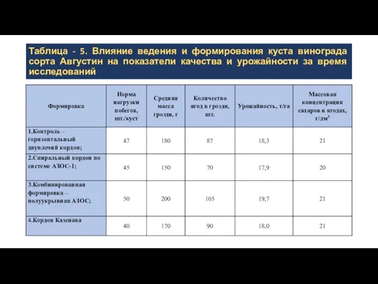 Таблица - 5. Влияние ведения и формирования куста винограда сорта Августин на