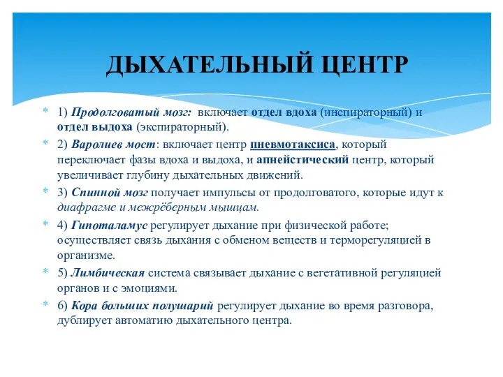 1) Продолговатый мозг: включает отдел вдоха (инспираторный) и отдел выдоха (экспираторный). 2)