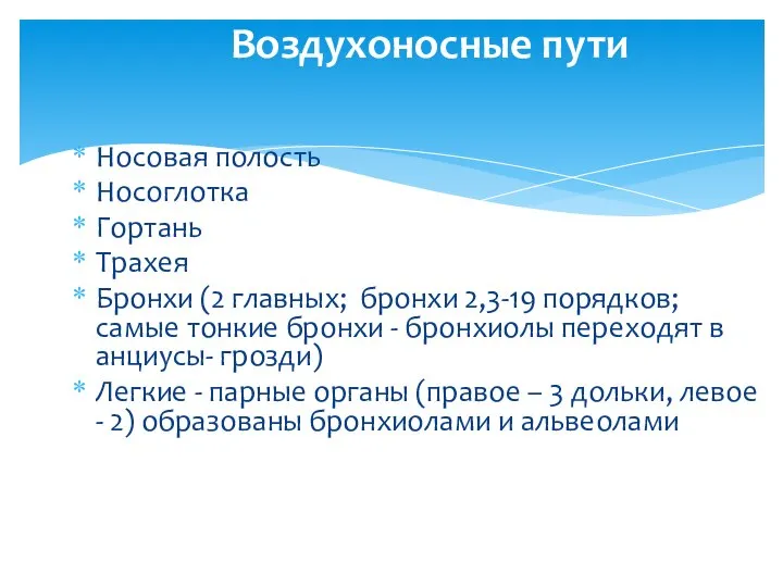 Воздухоносные пути Носовая полость Носоглотка Гортань Трахея Бронхи (2 главных; бронхи 2,3-19