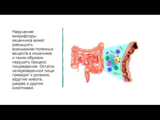 Нарушение микрофлоры кишечника может уменьшить всасывание полезных веществ в кишечнике и таким