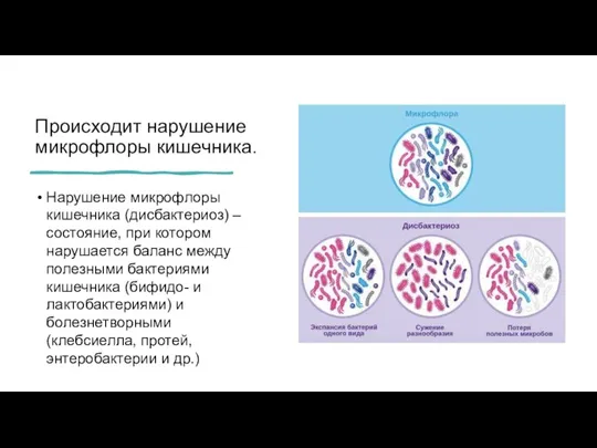 Происходит нарушение микрофлоры кишечника. Нарушение микрофлоры кишечника (дисбактериоз) – состояние, при котором