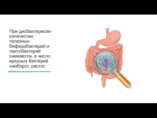 При дисбактериозе-количество полезных бифидобактерий и лактобактерий снижается, а число вредных бактерий наоборот, растет.