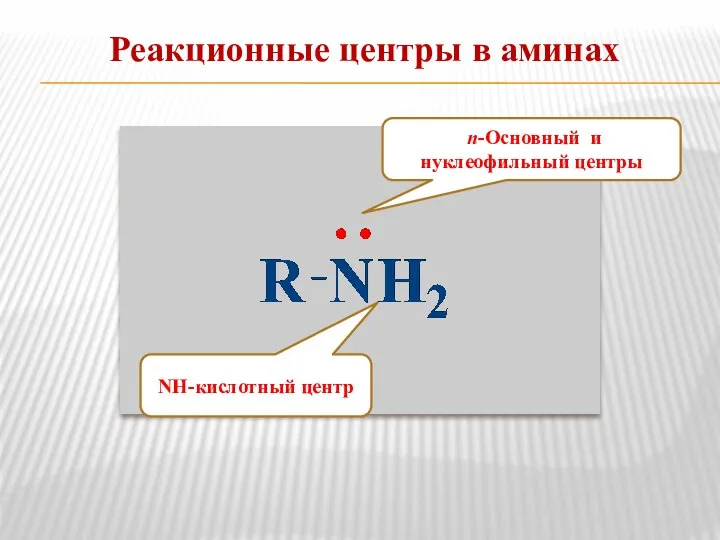 Реакционные центры в аминах NН-кислотный центр n-Основный и нуклеофильный центры