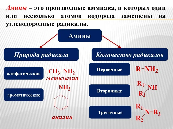 Амины – это производные аммиака, в которых один или несколько атомов водорода