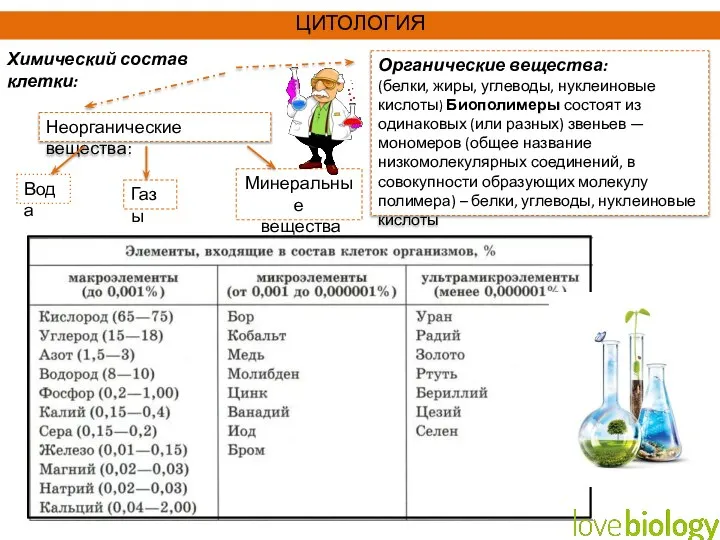 Химический состав клетки: Минеральные вещества Органические вещества: (белки, жиры, углеводы, нуклеиновые кислоты)