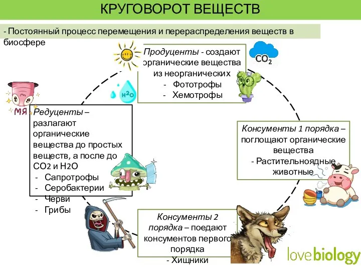 КРУГОВОРОТ ВЕЩЕСТВ - Постоянный процесс перемещения и перераспределения веществ в биосфере Продуценты