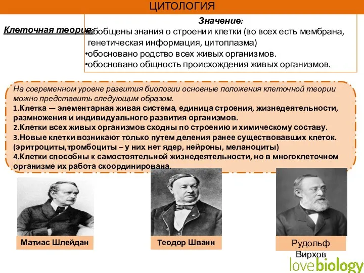 Клеточная теория: Матиас Шлейдан Теодор Шванн Рудольф Вирхов ЦИТОЛОГИЯ На современном уровне