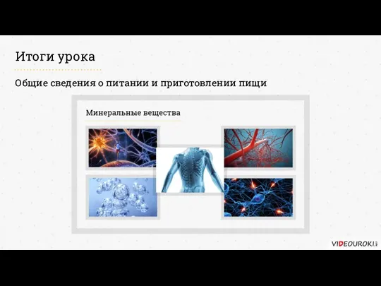 Итоги урока Общие сведения о питании и приготовлении пищи