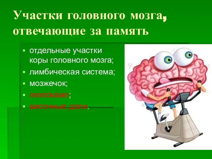 Участки головного мозга, отвечающие за память отдельные участки коры головного мозга; лимбическая