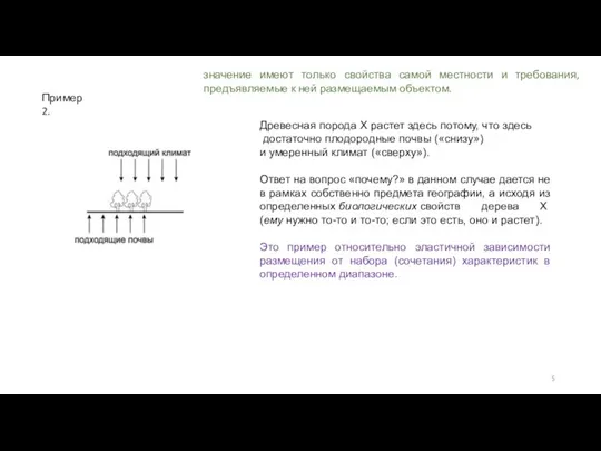 Пример 2. Древесная порода Х растет здесь потому, что здесь достаточно плодородные