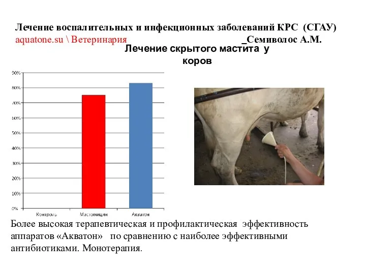 Лечение скрытого мастита у коров Лечение воспалительных и инфекционных заболеваний КРС (СГАУ)