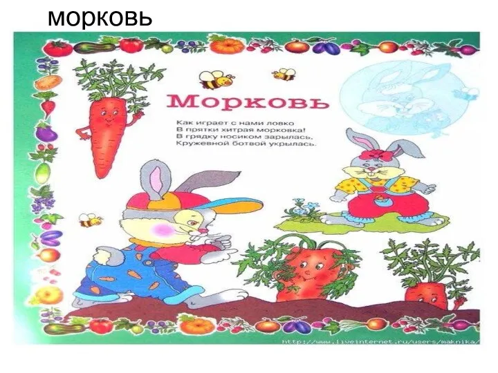 морковь