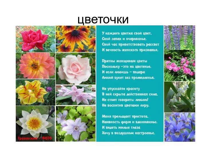 цветочки