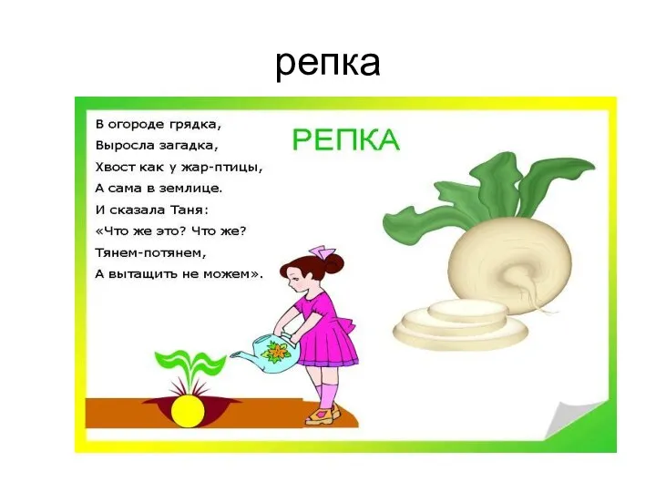 репка