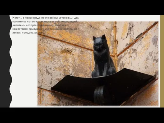 Кстати, в Ленинграде после войны установили два памятника котам из так называемой