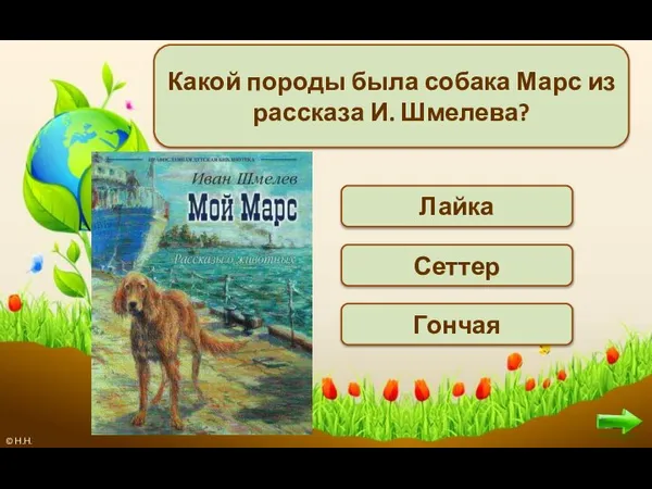 Какой породы была собака Марс из рассказа И. Шмелева? Сеттер Гончая Лайка