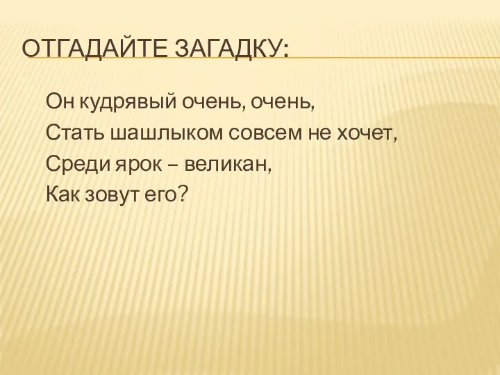 ОТГАДАЙТЕ ЗАГАДКУ: Он кудрявый очень, очень, Стать шашлыком совсем не хочет, Среди