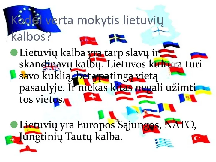 Kodėl verta mokytis lietuvių kalbos? Lietuvių kalba yra tarp slavų ir skandinavų