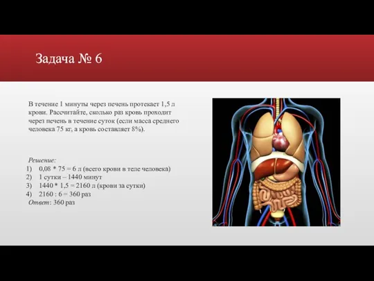 Задача № 6 В течение 1 минуты через печень протекает 1,5 л