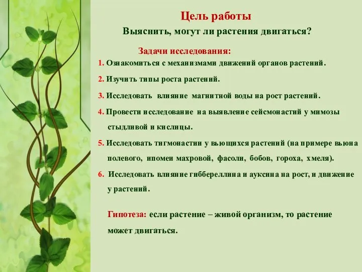 Цель работы Выяснить, могут ли растения двигаться? Задачи исследования: 1. Ознакомиться с