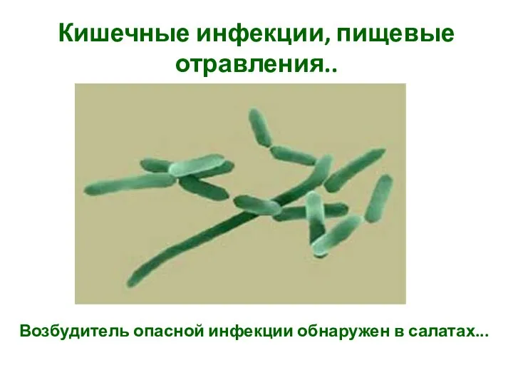 Кишечные инфекции, пищевые отравления.. Возбудитель опасной инфекции обнаружен в салатах...