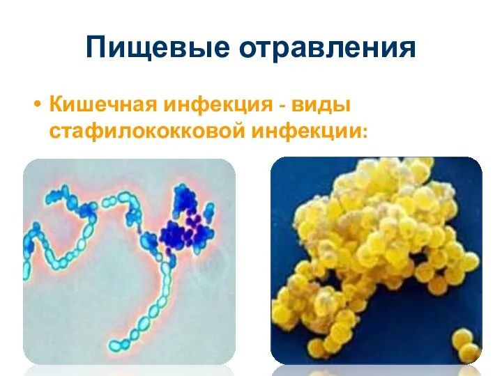 Пищевые отравления Кишечная инфекция - виды стафилококковой инфекции: