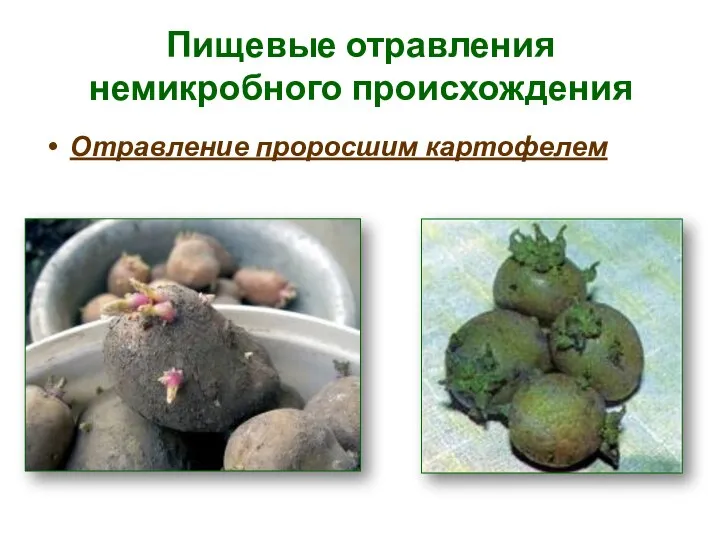 Пищевые отравления немикробного происхождения Отравление проросшим картофелем