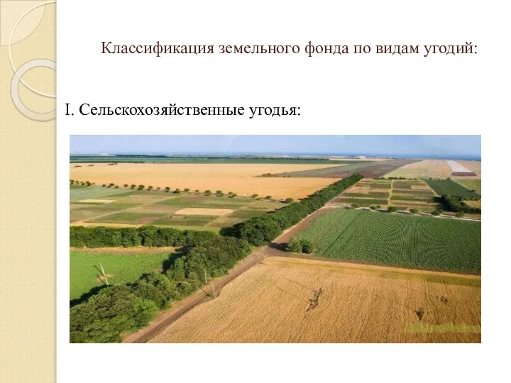 Классификация земельного фонда по видам угодий: I. Сельскохозяйственные угодья: