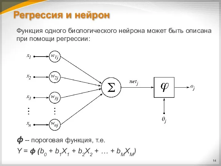 Регрессия и нейрон Функция одного биологического нейрона может быть описана при помощи