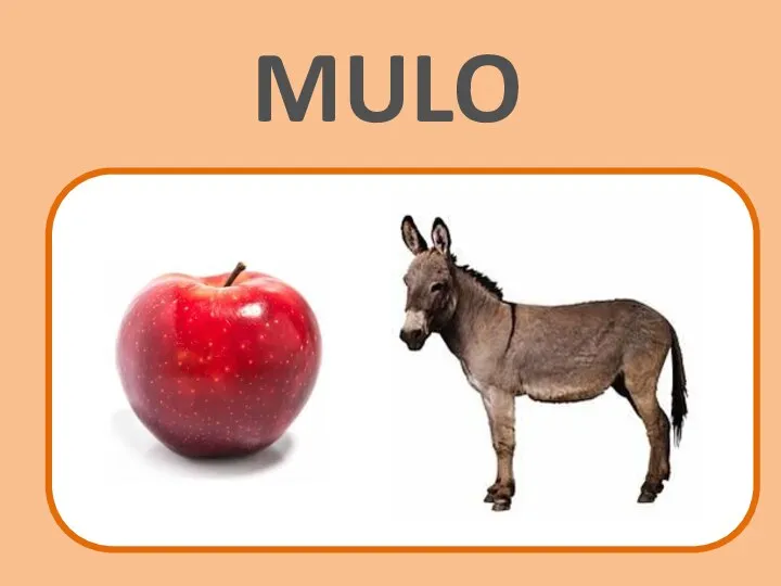 MULO