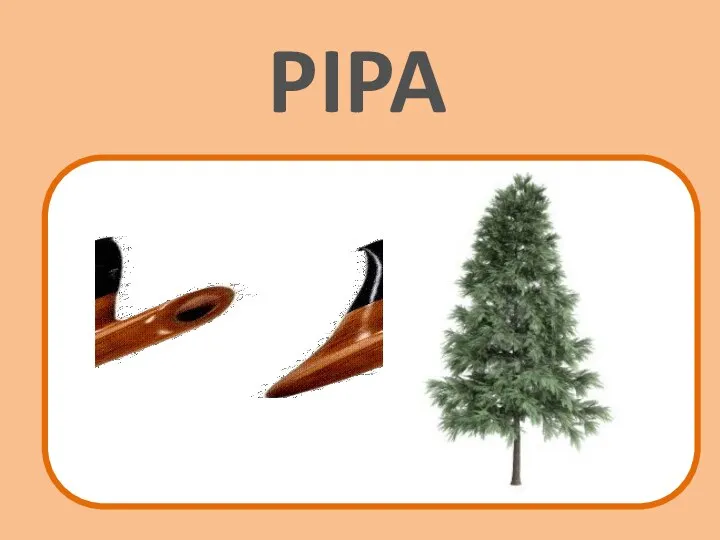 PIPA