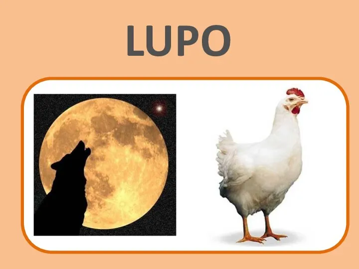 LUPO