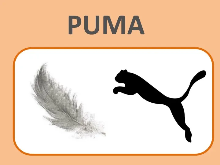 LUNA PUMA