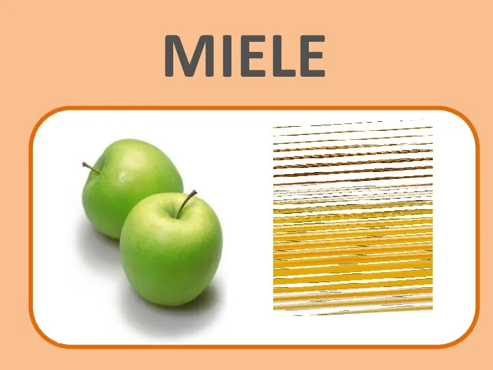 MIELE