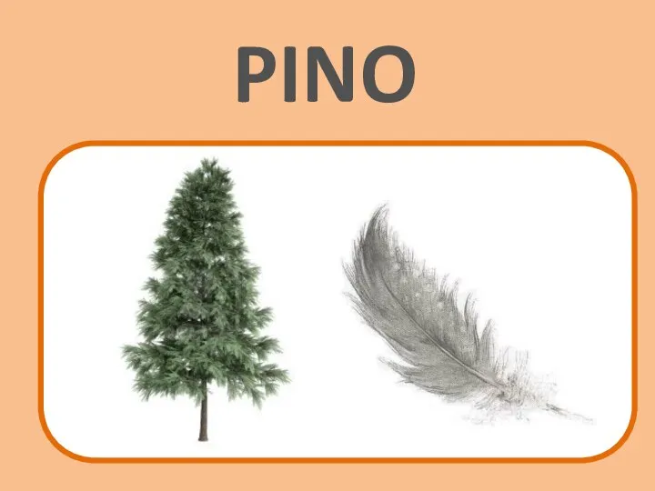 PINO